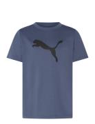 Tad Ess Cat Logo Tee B Navy PUMA