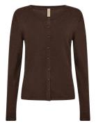 Sc-Dollie Brown Soyaconcept