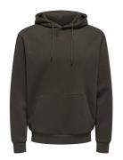 Onsceres Hoodie Sweat Noos Brown ONLY & SONS