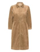 Eyvorpw Dr Brown Part Two