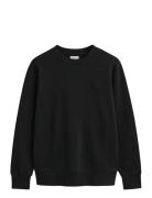Reg Tonal Shield C-Neck Sweat Navy GANT