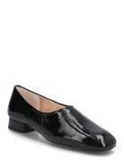 Cuntisver Black UNISA