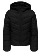 Kogkajsa Light Quilt Hood Jkt Otw Noos Black Kids Only