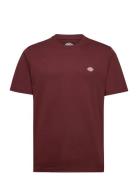 M Ss Mapleton Tee Red Dickies