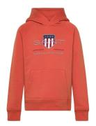 Archive Shield Hoodie Orange GANT