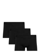 3-Pack Trunk Black Bread & Boxers