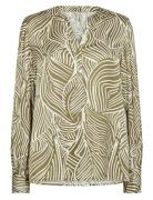 Sc-Signora Green Soyaconcept