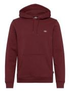 M Oakport Hoodie Burgundy Dickies