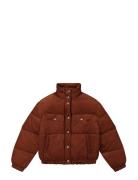 Rider Puffer Jacket Brown Lee Jeans