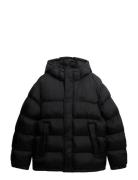 Hooded Tech Padded Jkt Black Superdry