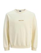 Jornorrebro Emb Sweat Crew Noos Jnr Cream Jack & J S