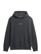Micro Logo Hood Grey Superdry
