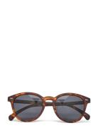 Bandwagon *Polarized* Brown Le Specs