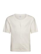 Cardigan Short Sleeve Basic Grey Lindex