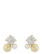 Brittany Small Ear G/Clear - Gold SNÖ Of Sweden