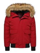Everest Bomber Red Superdry