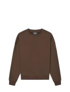 Standard Luka Crew Sweat Brown Mads Nørgaard
