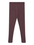 Rib Leggings Maddy Burgundy Wheat
