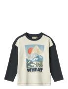 T-Shirt L/S Beck Navy Wheat