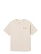 Wwliam Tee Aaneue 25220 Cream WOOD WOOD