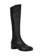 Tayla Black Dune London