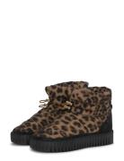 Tulip6082 Brown Ilse Jacobsen