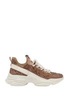 Maxima-R Beige Steve Madden