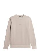 Micro Logo Crew Beige Superdry