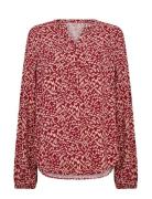 Sc-Van Red Soyaconcept