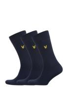 Angus Blue Lyle & Scott