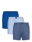 Temi Blue Lyle & Scott