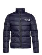 Balto2244 Navy HUGO
