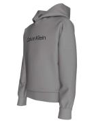 Inst. Logo Reg. Terry Hoodie Grey Calvin Klein