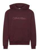 Ls Eu Standard Logo 350Terry Po Burgundy Calvin Klein