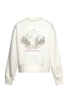 Embroidered Cotton Sweatshirt White Mango