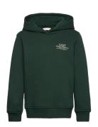 Graphic Hoodie Green GANT