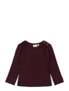 T-Shirt L/S Modal Burgundy Petit Piao