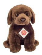Sitting Labrador Dark Brown 25 Cm Brown Teddy Hermann