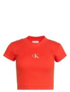 A- Monogram Baby Tee Red Calvin Klein Jeans