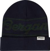 Bergans Juniors' Logo Beanie Navy Blue/Duke Green