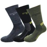 Avignon Unisex Terry Wool 3-Pack Multicolour