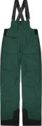 Picture Organic Clothing Men's Ozonn 3L Bib Pants A Ponderosa Pine