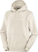 Salomon Men's Salomon Logo Hoodie Rainy Day