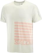 Salomon Men's Sense Aero Graphic Tee GFX Icicle/Neon Flame