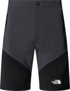 The North Face Men's Felik Slim Tapered Shorts Asphalt Grey/TNF Black/...