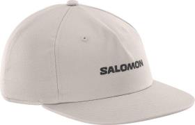 Salomon Logo Flat Cap Etherea
