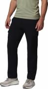 Columbia Men's ROC Tech Cargo Pants Black