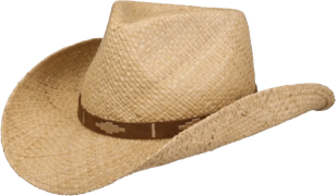 Stetson Western Raffia Straw