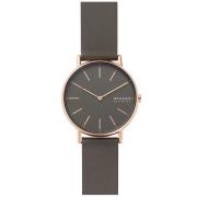 Skagen Denmark Signatur SKW2794