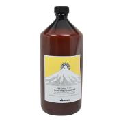 Davines Natural Tech Purifying Shampoo 1000 ml